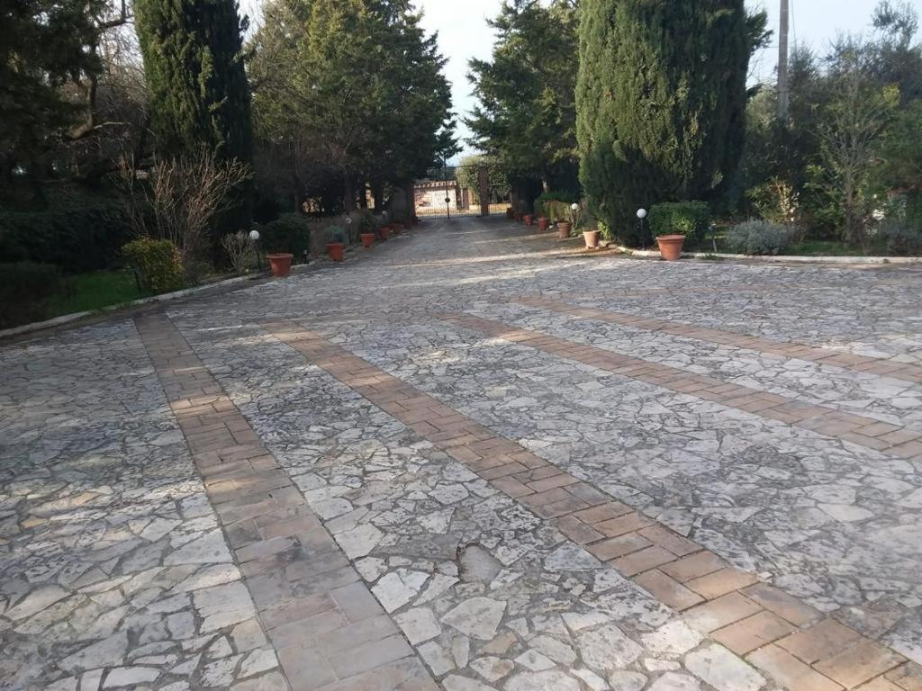 Trasimeno 2 Lägenhet Casamaggiore Exteriör bild