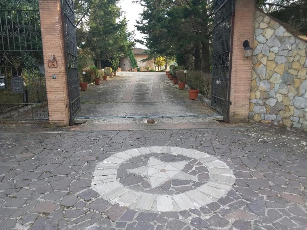 Trasimeno 2 Lägenhet Casamaggiore Exteriör bild