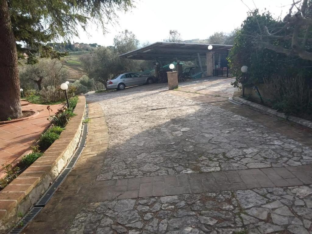 Trasimeno 2 Lägenhet Casamaggiore Exteriör bild