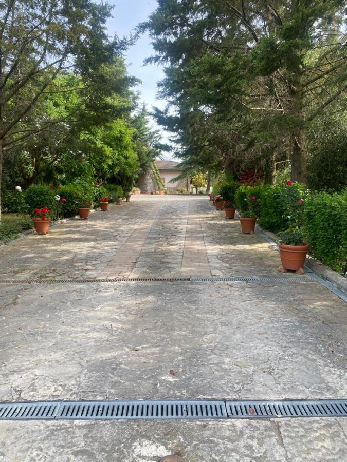Trasimeno 2 Lägenhet Casamaggiore Exteriör bild